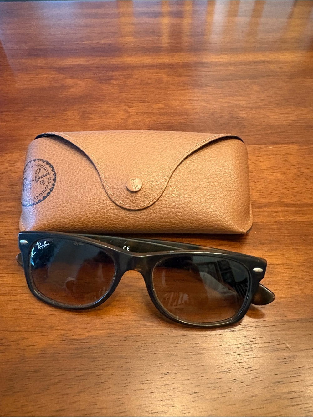 Ray-Ban Tortoiseshell Acetate Glasses in Brown and Black